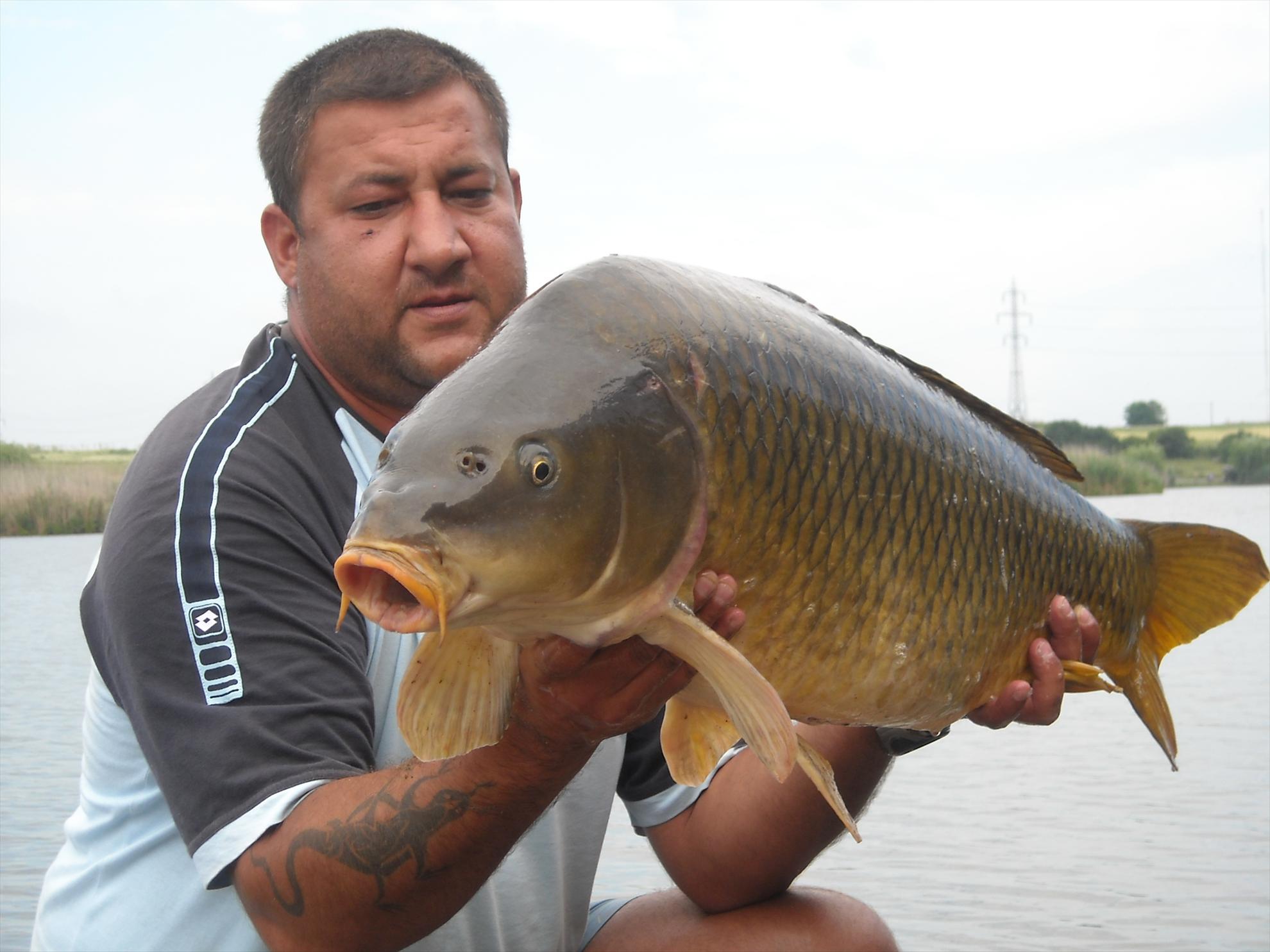 Senior Trophy - 2010 - dscn5429.jpg